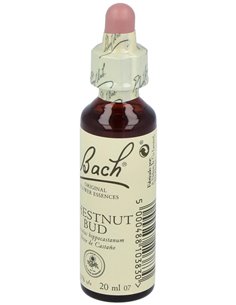 Flores Bach Chestnut Bud Brote Castaño 20Ml. de Flores Bach Original
