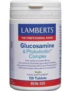 Complejo de Glucosamina y Fitodroitina de Lamberts