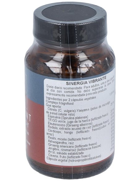 Sinergia Vibrante 50Vcap. de Terranova