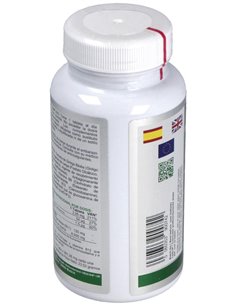 Ginkgo-Vit 6000 90Comp. de Airbiotic