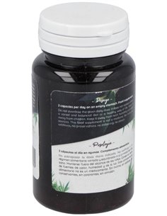 Ferment Slim 60Cap. de Probioticos San