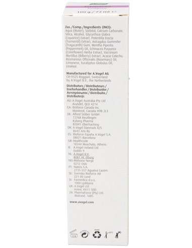 Dentaforce Echinacea Pasta Dental Gr 100 de A.Vogel