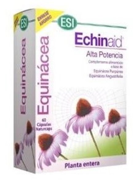 Echinaid 60Cap. de Trepatdiet-Esi