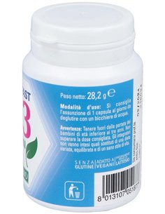 D3 Fast Vegan 60Comp. de Naturando