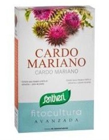 Cardo Mariano 40Cap. de Santiveri