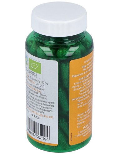 Verde De Alcachofa 80Cap. de Soria Natural