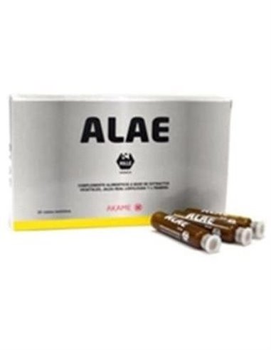 Alae 20Amp. de Akame