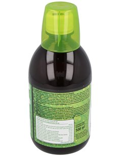 Green Coffee Plus 500 Ml de Plantapol