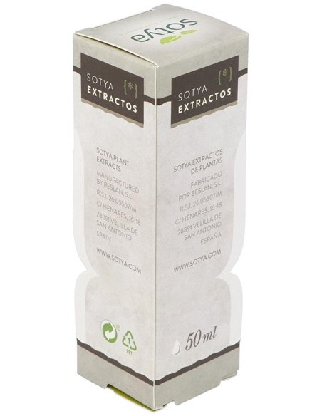 Extracto Ginkgo Biloba 50Ml. de Sotya