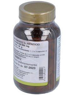 Cimicifuga Racemosa 60Comp. de Cfn