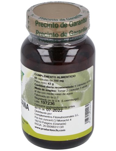 Guanaba (Graviola) 60Cap. de Cfn