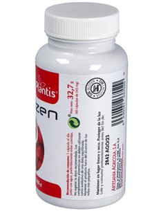 Rodiozen Plantis 60 Cap de Artesania