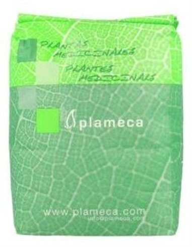 Te Verde 1Kg de Plameca