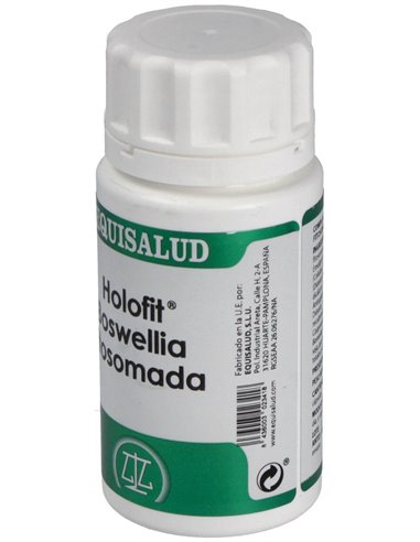 Holofit Boswellia Fitosomada 50Cap. de Equisalud