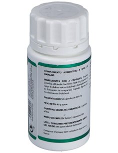 Holofit Ayurveda Amalaki 50Cap. de Equisalud