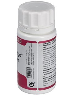 Holomega Hericium 50 Cáp. de Equisalud