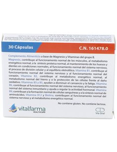 Magnesio + B-Complex 30Cap. de Vitalfarma