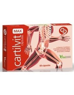 Cartilvit Max 60Cap. de Vital 2000