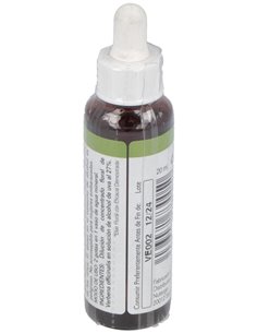 Vervain 20Ml. de Elidyn