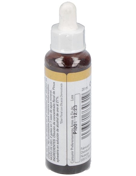 Pine 20Ml. de Elidyn