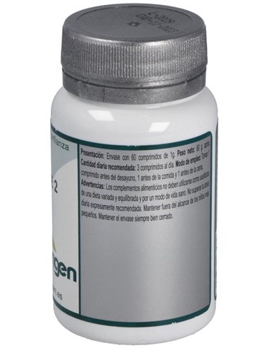 Base 2 60Comp. de Erlingen