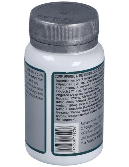 Base 2E 60Comp. de Erlingen