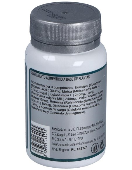 Base 5 60Comp. de Erlingen