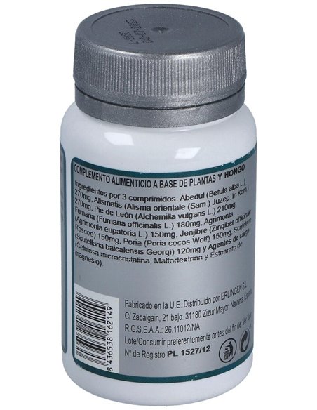 Base 10 60Comp. de Erlingen