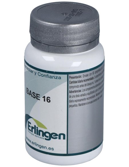 Base 16 60Comp. de Erlingen