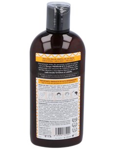 Nuggela & Sule Champu Extracto De Cebolla 250Ml. de Nuggela & Sule