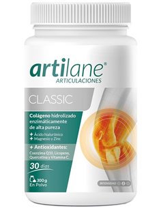 Artilane Classic 300 G Polvo de Artilane