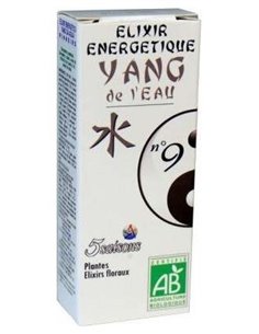 Elixir Nº9 Yang Del Agua Eco 50Ml de 5 Saisons