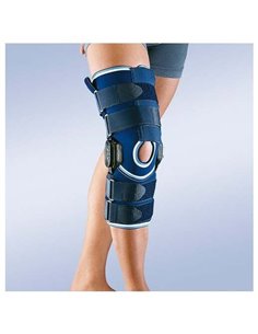 Shiitake Bio 60Cap. de Pilze Wolhrab