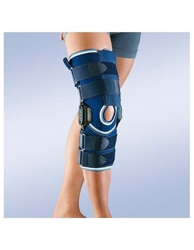 Shiitake Bio 60Cap. de Pilze Wolhrab