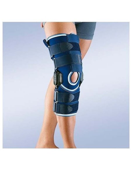 Shiitake Bio 60Cap. de Pilze Wolhrab