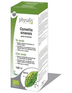 Tintura Camellia sinensis (Té Verde) de Physalis