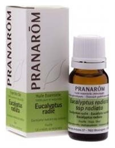 Eucalipto Radiata Hoja 10 Ml de Pranarom