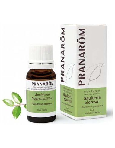 Gaulteria Olorosa Hoja Aceite Esencial Bio 10Ml. de Pranarom Aceites
