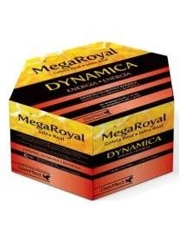 Megaroyal Dynamica 20Amp. de Dietmed