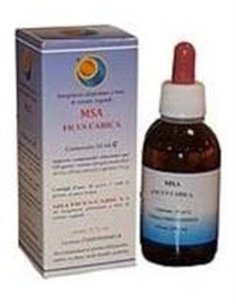 Msa Ficus Carica Yemas Higuera 50Ml. de Herboplanet