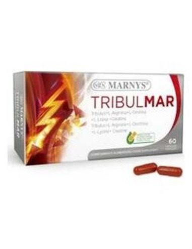 Tribulmar 60Cap. de Marnys