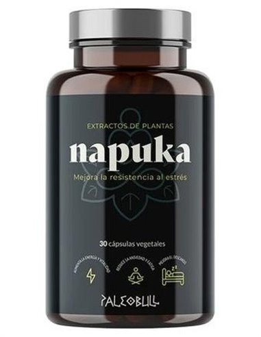 Napuka 30Cap. de Paleobull