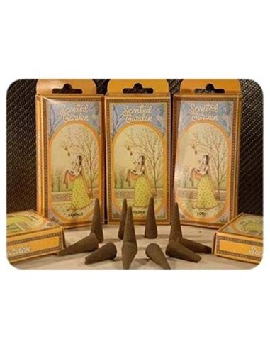 Incienso Stick Abrecamino 12Uds. Scented Garden de Radhe Shyam
