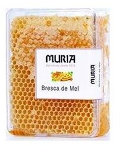 Panal De Miel De Flores 450Gr. de Muria