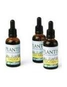 Ext.Zarzaparrilla 50Ml Maese Herbario de Artesania