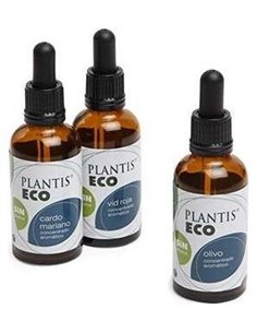 Ext Espino B Eco S/Alc Plantis de Artesania