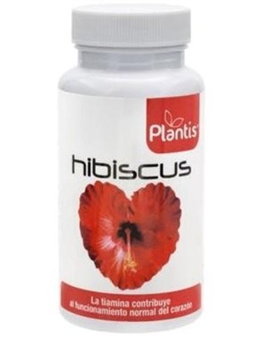 Hibiscus Plantis 60 Cap de Artesania