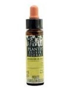 White Chestnut Plantis Flores De Bach Nº 35 10Ml. de Artesania