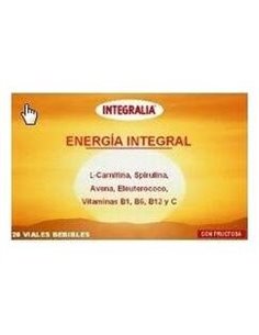 Energia Integral 20Viales de Integralia