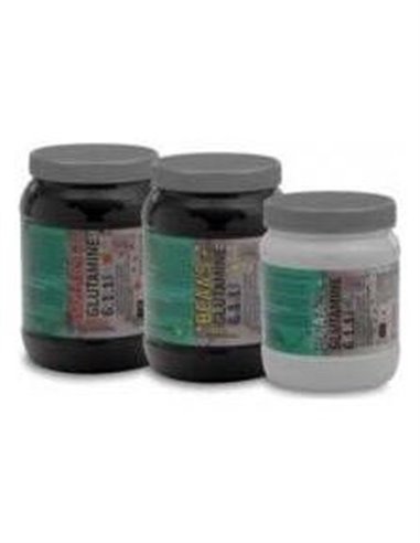 Bcaa+Glutamina Naranja 500Gr. de Best Protein